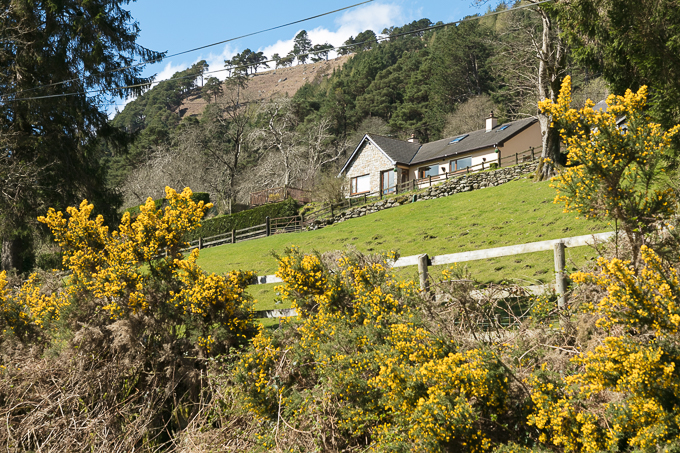 Wicklow Mountains National Park Apr 2018 (038)
